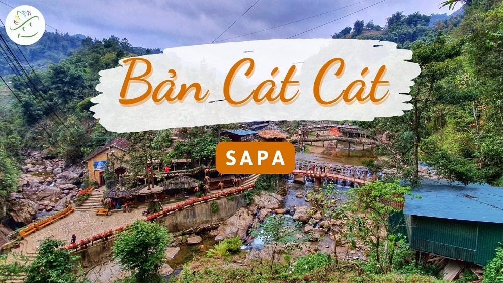 ban cat cat